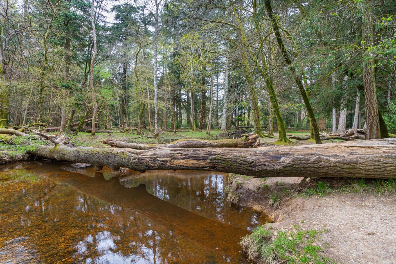 Forest Park Country Hotel & Inn, Brockenhurst, New Forest, Hampshire Экстерьер фото